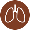 Icono sistema respiratorio